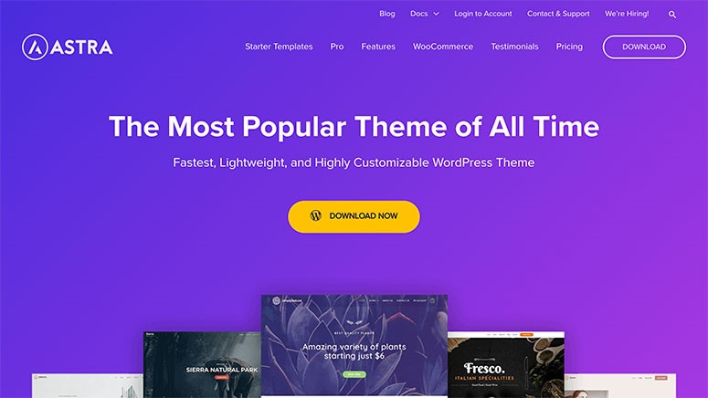 WooCommerce Themes